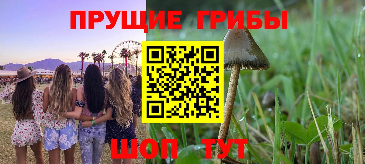 Галлюциногенные грибы ЛСД  даркнет сайт  Нижнеудинск  Галлюциногенные грибы мицелий  Вход с VPN 